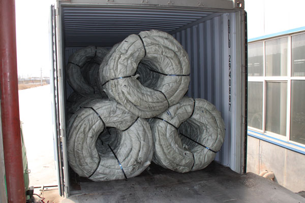 Export Container Loading