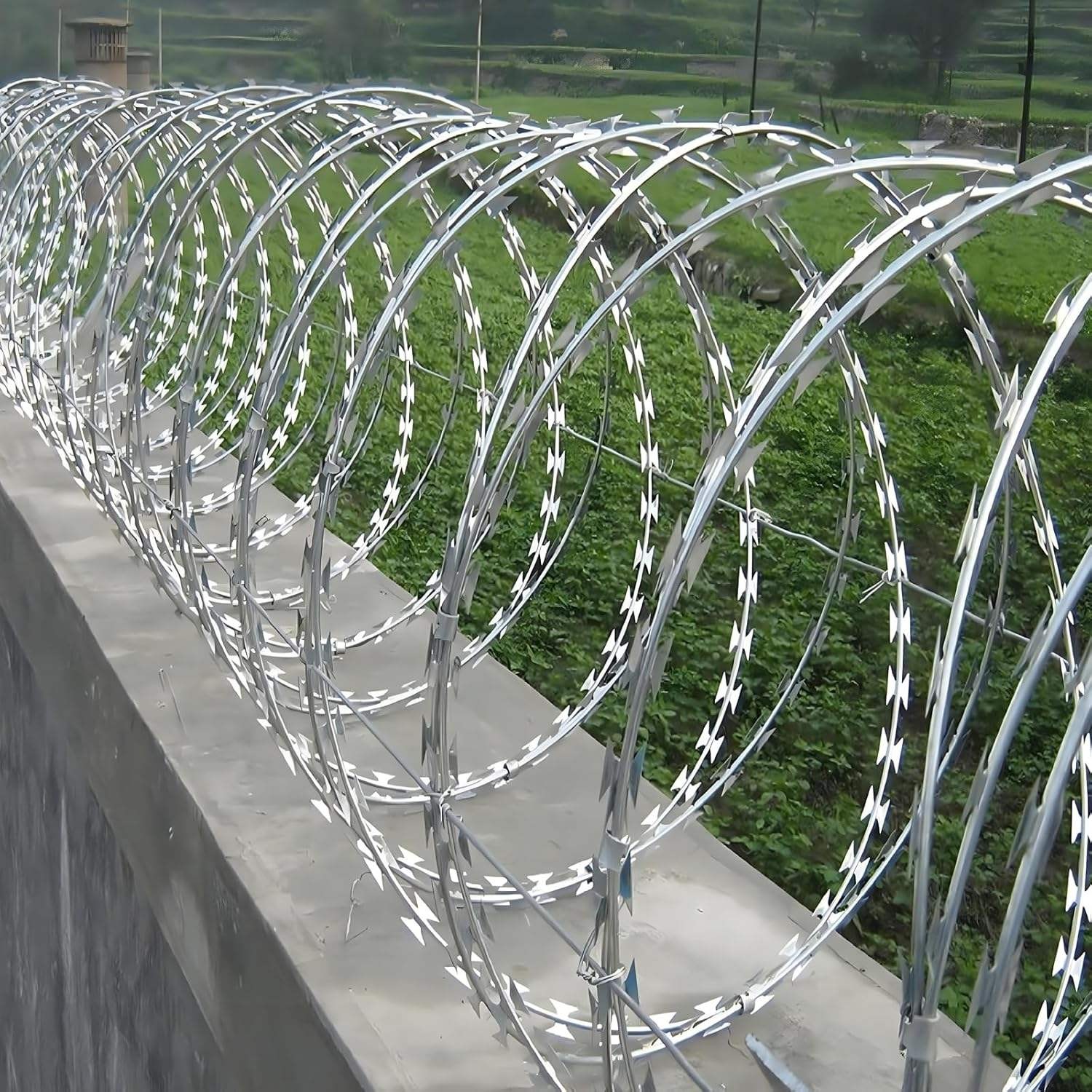 Concertina Barbed Wire: How to Choose the Right Type