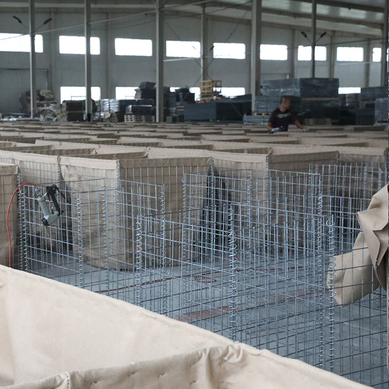 The Growing Role of Physical Protection in the Age of Drones
